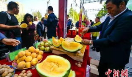 吃瓜最新事件爆料青州,揭秘吃瓜群众最新爆料背后的真相