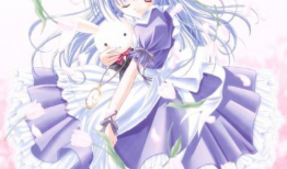 图动漫,图解动漫世界之旅