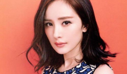 明星网红,揭秘他们的网红之路